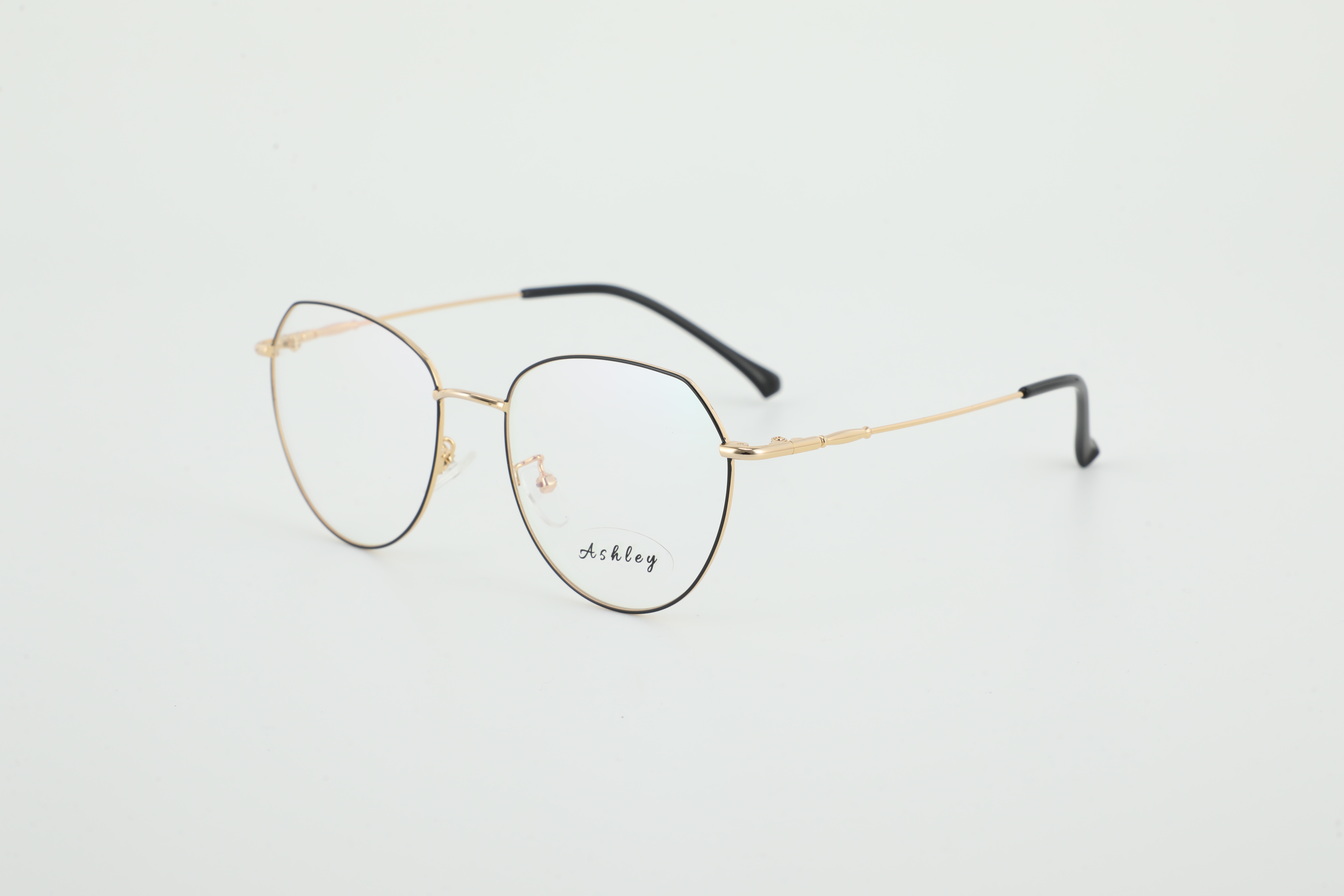 OPTINT 01822.JPG